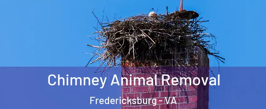 Chimney Animal Removal Fredericksburg - VA