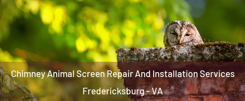  Chimney Animal Screen Repair And Installation Services Fredericksburg - VA