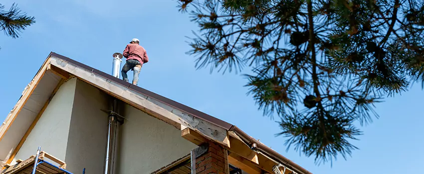 Birds Removal Contractors from Chimney in Fredericksburg, VA