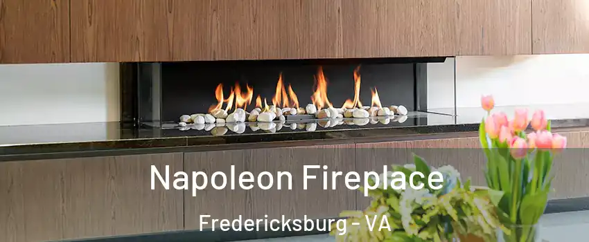 Napoleon Fireplace Fredericksburg - VA